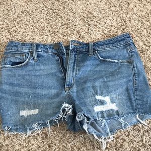 Universal thread shorts ☘️